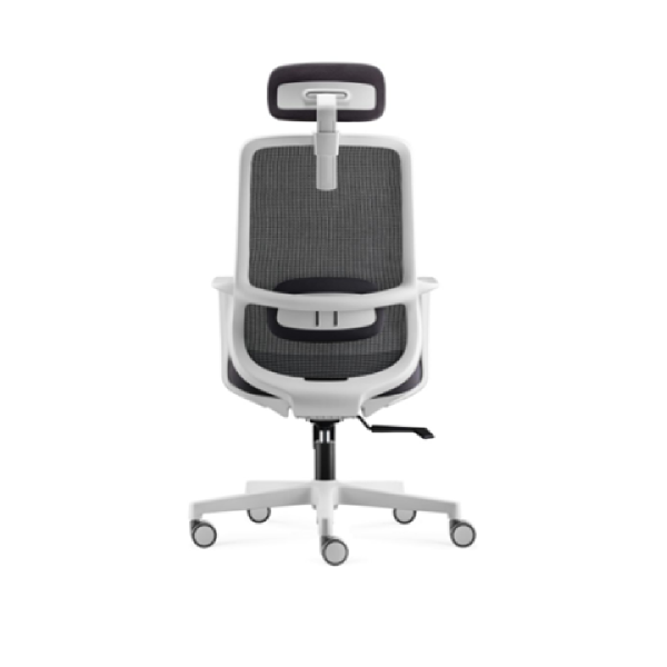 D273 Imported Office Chair